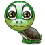 :turtle